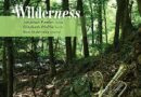 Wilderness by Jonathan Fowler & Elizabeth Pfaffle