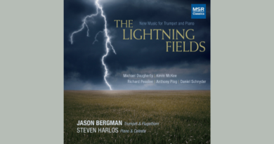 The Lightning Fields by Jason Bergman