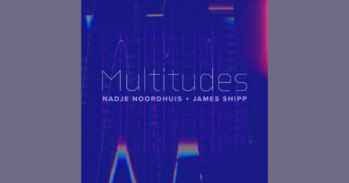 Multitudes by Nadje Noordhuis